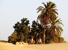 Горящие туры в Тунис